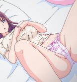 Do S Na Pet Pv 01