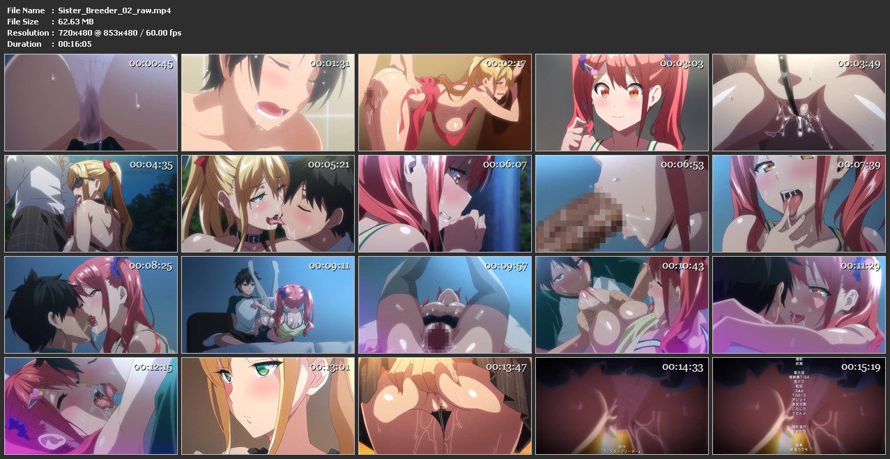 Sister Breeder 02.mp4