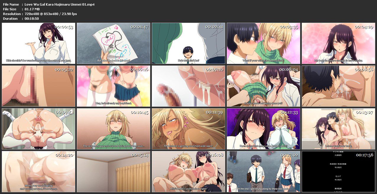 Love wa Gal kara Hajimaru Unmei 01.mp4